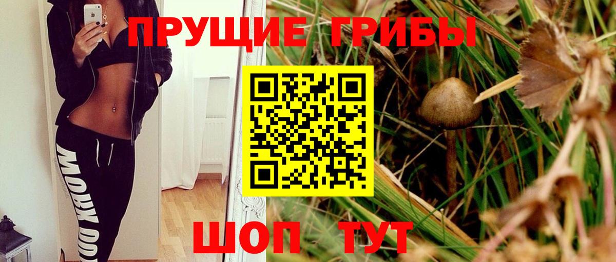 где можно купить   Вход с VPN  Сердобск  Псилоцибиновые грибы MAGIC MUSHROOMS 